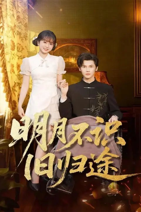 《明月不识旧归途》封面