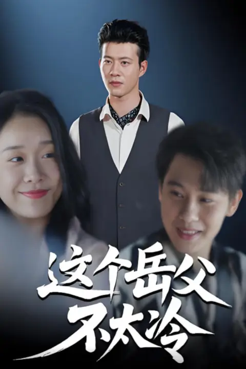 《这个岳父不太冷》封面