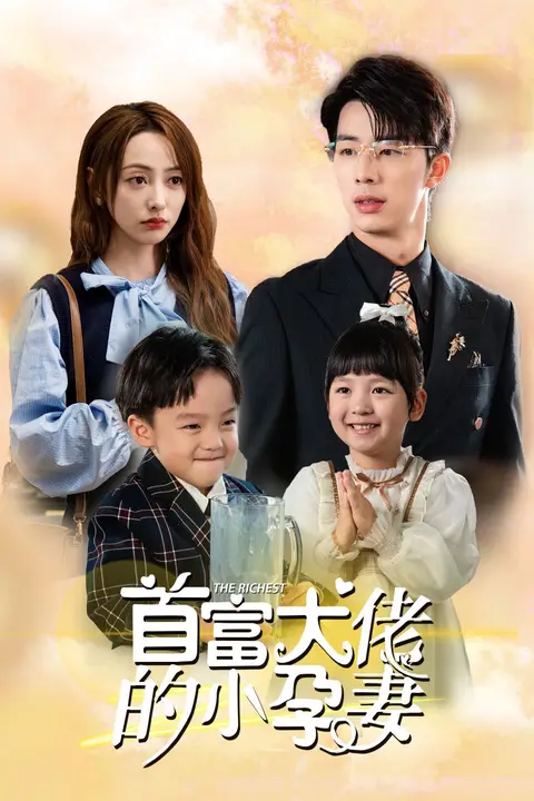 《首富大佬的小孕妻》封面