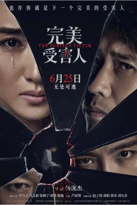 《完美受害人》封面