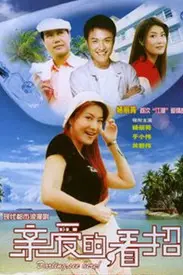 《亲爱的,看招》封面