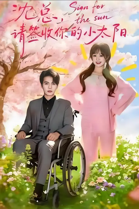 《沈总,请签收你的小太阳》封面