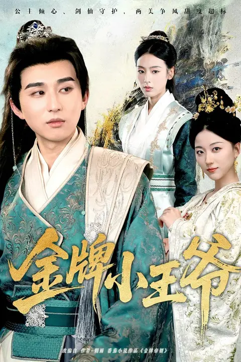 《金牌小王爷》封面