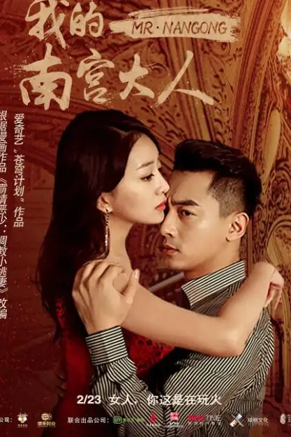 《我的南宫大人》封面