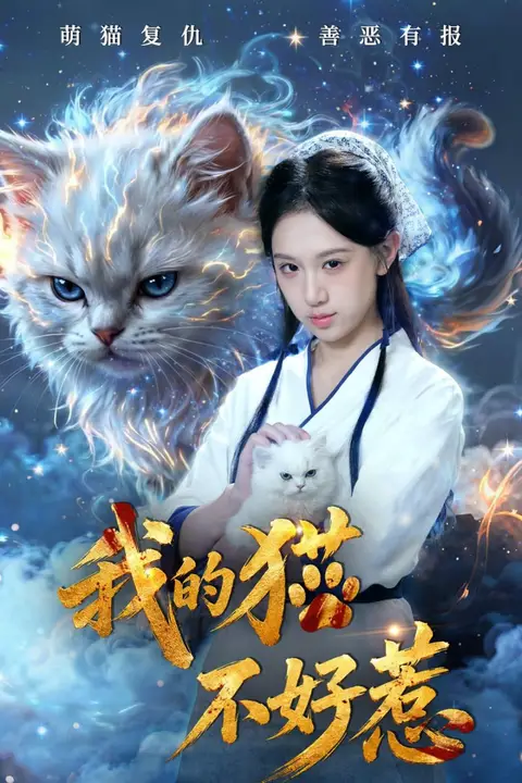 《我的猫不好惹》封面