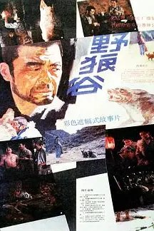 《野狼谷》封面