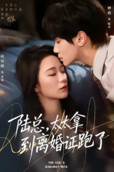《陆总,太太拿到离婚证跑了》封面