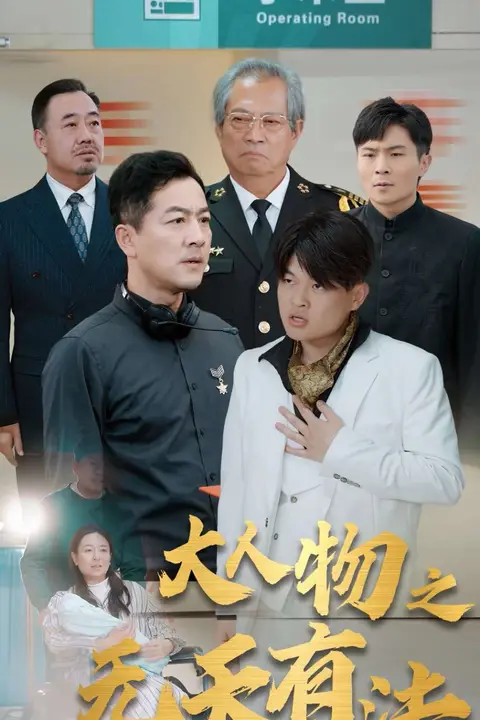 《新大人物之无天有法》封面