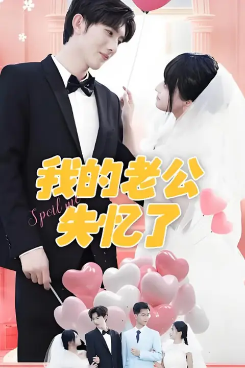 《我的老公失忆了》封面