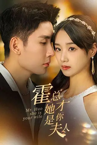 《霍总她才是你夫人》封面