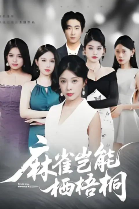 《麻雀岂能栖梧桐》封面