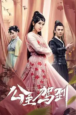 《公主驾到》封面