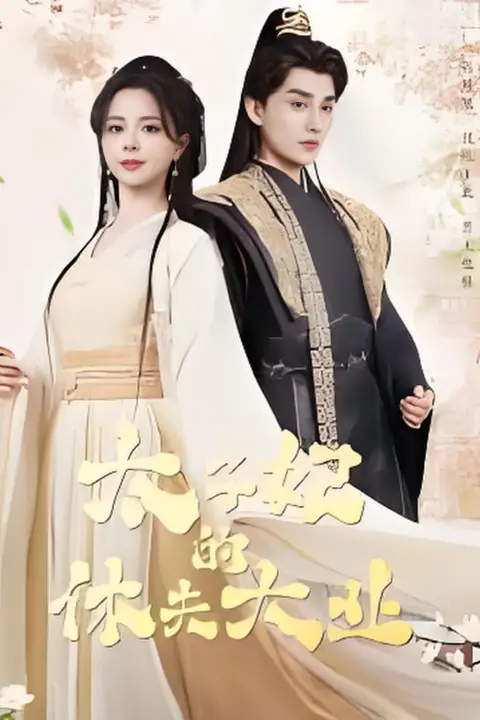《太子妃的休夫大业》封面