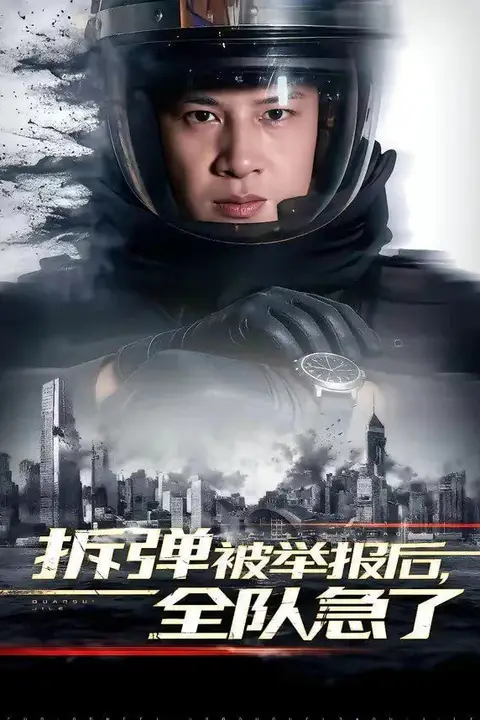 《拆弹被举报后，全队急了》封面