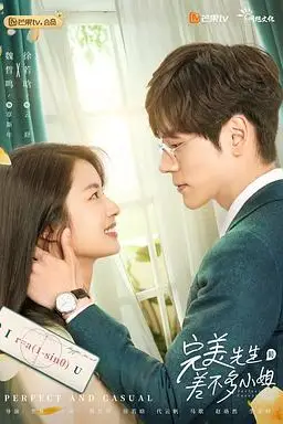 《完美先生和差不多小姐》封面