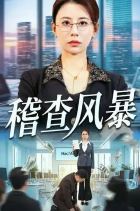 《稽查风暴》封面