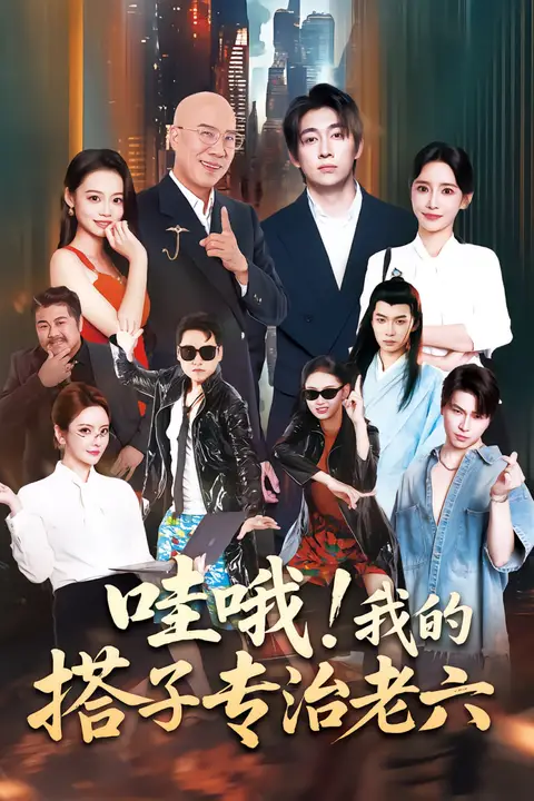 《哇哦我的搭子专治老六》封面