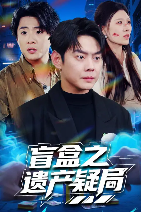 《盲盒之遗产疑局》封面