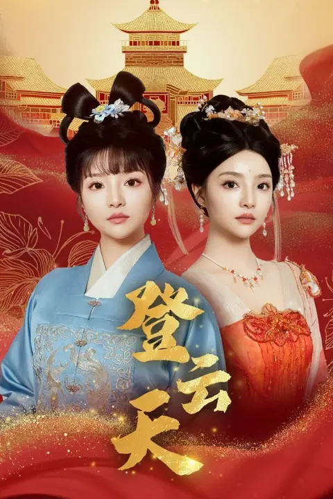《登云天》封面