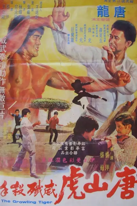 《唐山虎威歼杀手》封面