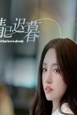 《听说爱情已迟暮》封面