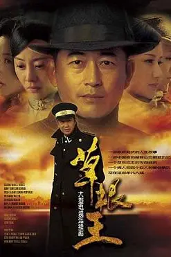 《草根王》封面