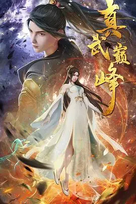 《真武巅峰》封面