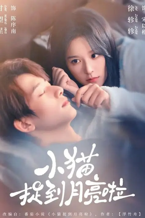 《小猫捉到月亮啦》封面