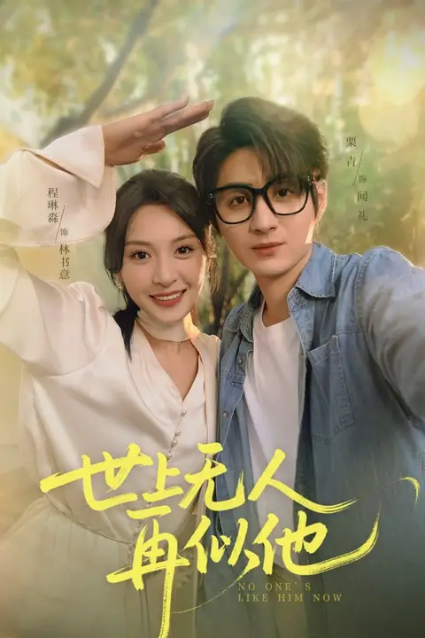 《世上无人再似他》封面
