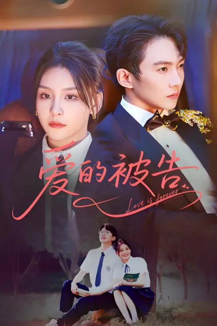 《爱的被告》封面