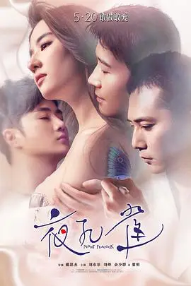 《夜孔雀》封面