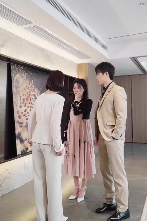 《真假白月光:傅总你爱错人了》封面