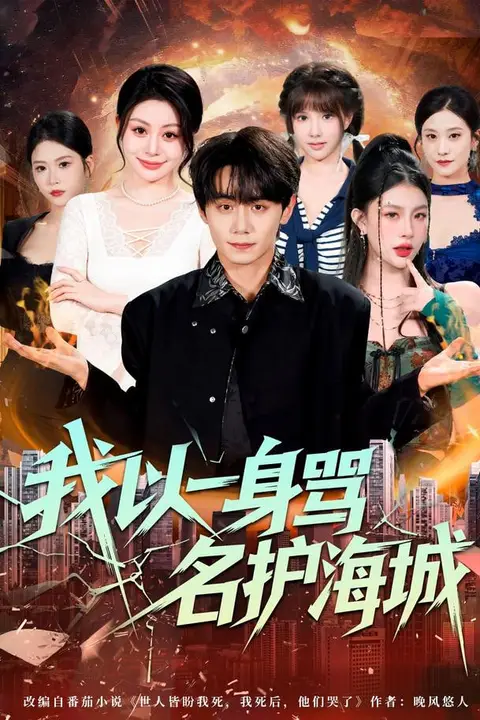 《我以一身骂名护海城》封面