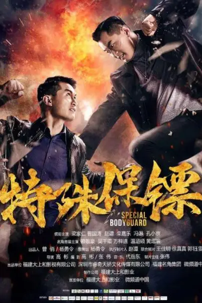 《特殊保镖》封面