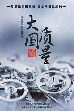 《大国质量》封面