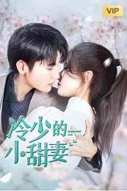 《冷少的小甜妻》封面