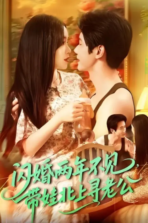 《闪婚两年不见带娃北上寻老公》封面