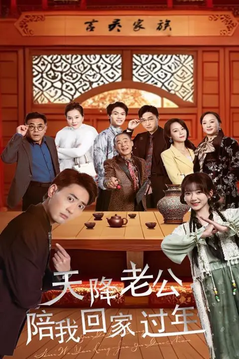 《天降老公陪我回家过年》封面