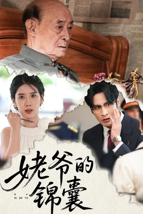 《姥爷的锦囊》封面