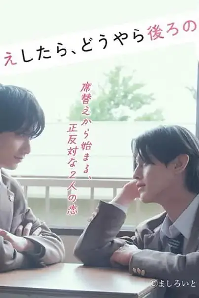 《换座位后,发现身后的男生好像喜欢我 席替》封面