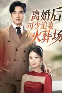 《离婚后司少追妻火葬场》封面