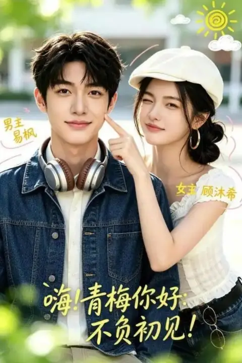 《嗨!青梅你好:不负初见》封面