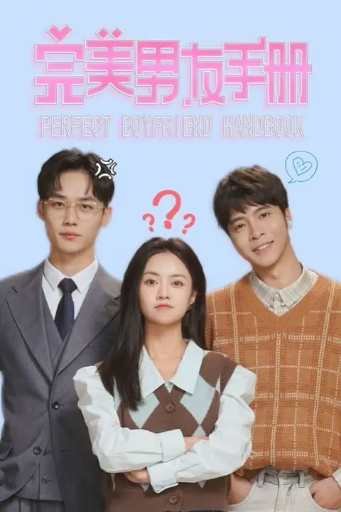 《完美男友手册》封面
