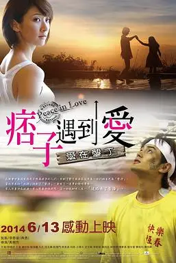 《痞子遇到爱 痞子遇到愛》封面