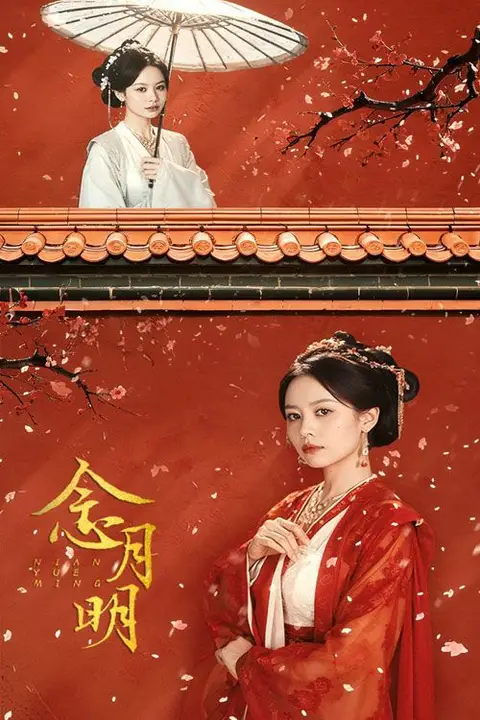 《念月明》封面