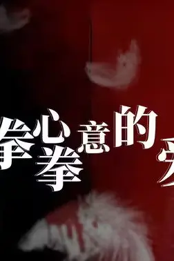 《拳心拳意的爱》封面