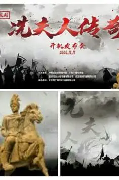 《谯国夫人》封面