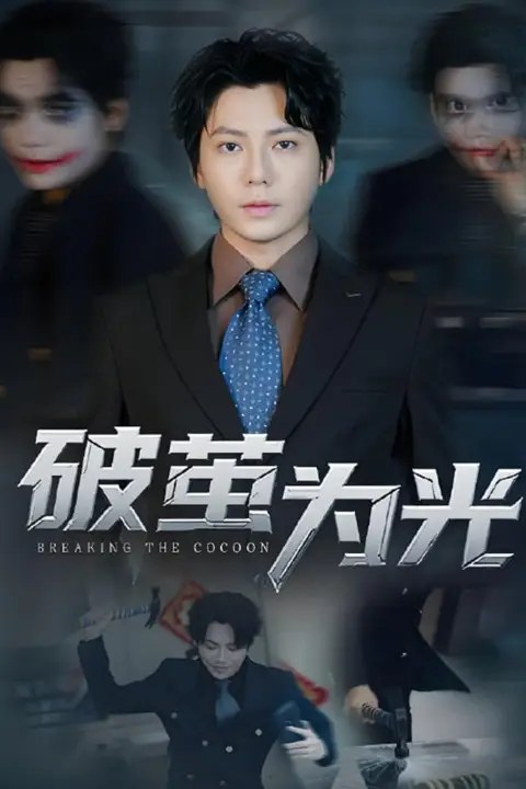 《破茧为光》封面