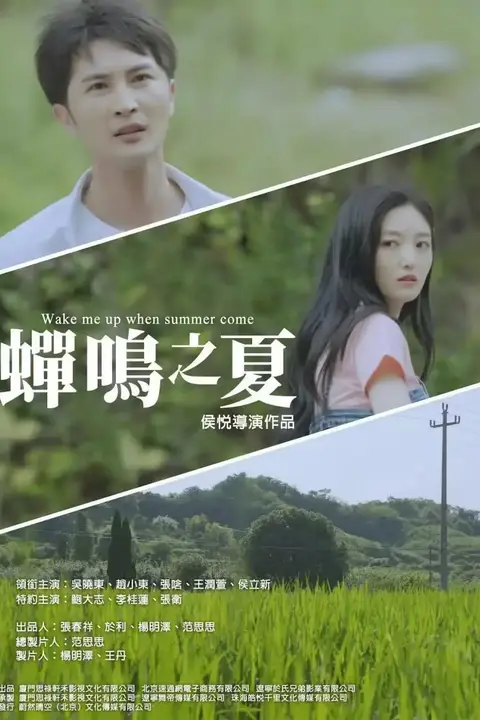 《蝉鸣之夏》封面