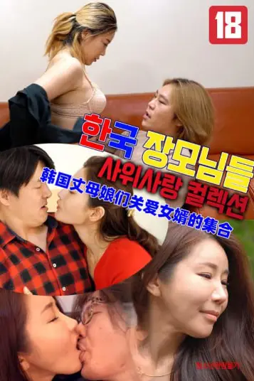 《韩国丈母娘们关爱女婿的集合》封面